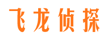 临城侦探